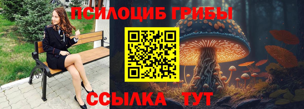 Псилоцибиновые грибы GOLDEN TEACHER  Вход с VPN  Волжский 