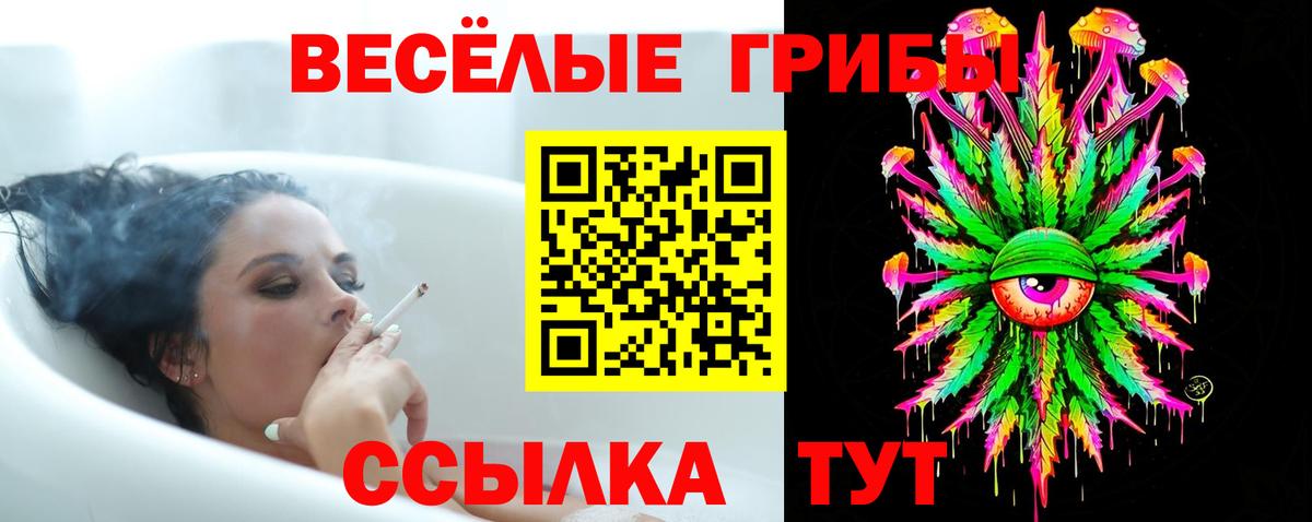 Псилоцибиновые грибы прущие грибы Волжский